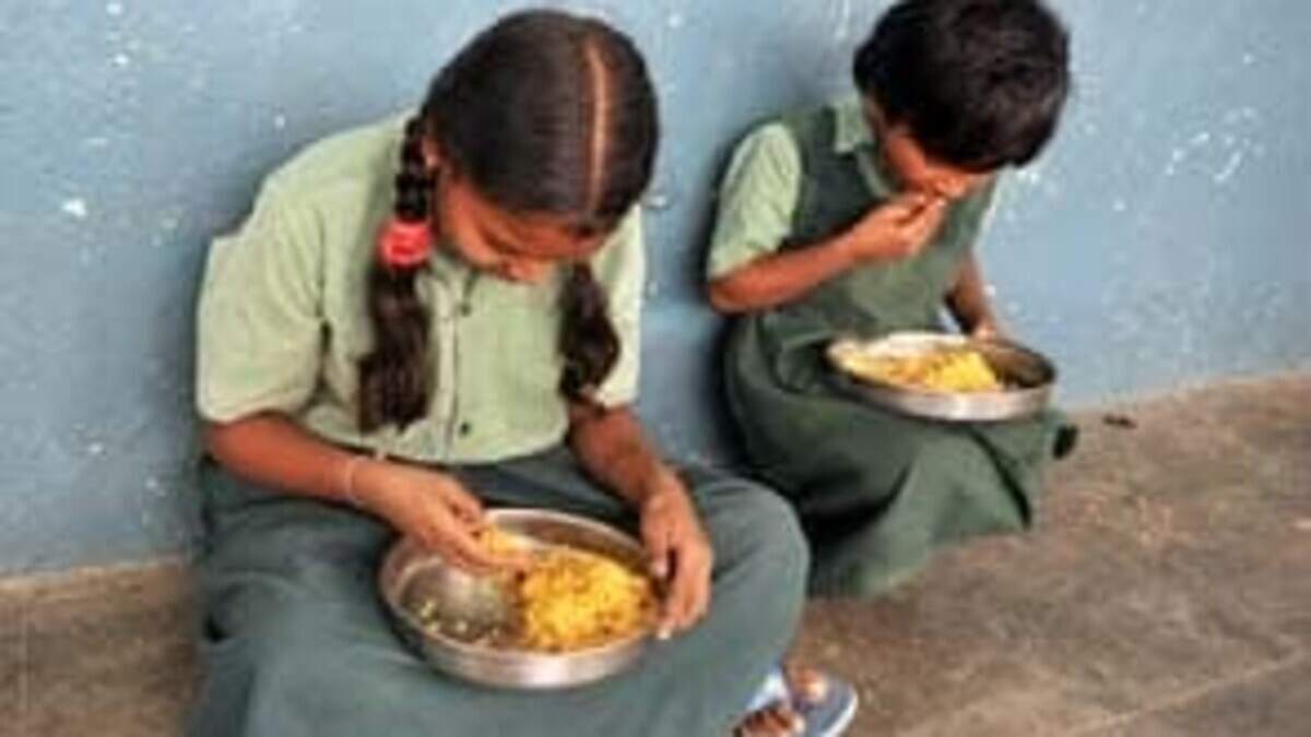 अलवर के सरकारी स्कूल में मिड-डे मील में मिला मरा चूहा, बच्चों में हड़कंप, वीडियो में देंखे शिक्षा विभाग ने शुरू की जांच