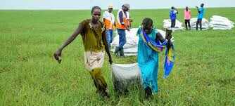 फीस विवाद को लेकर छात्रा ने किया आत्महत्या का प्रयास, सुसाइड नोट में शिक्षक पर गंभीर आरोप