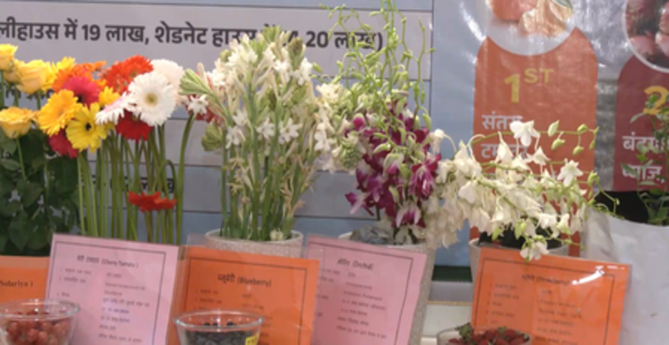 रायसेन कृषि महोत्सव में 'स्मार्ट' खेती, ड्रैगन फ्रूट और ड्रिप सिंचाई को बढ़ावा देने की दी जानकारी