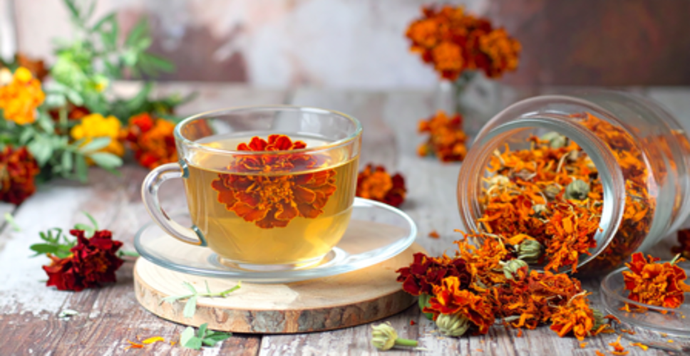 कमल, गुड़हल से मौलश्री तक... गर्मियों में ट्राई करें 'फूलों' से बनी चाय, पूरे दिन बनी रहेगी ताजगी और एनर्जी