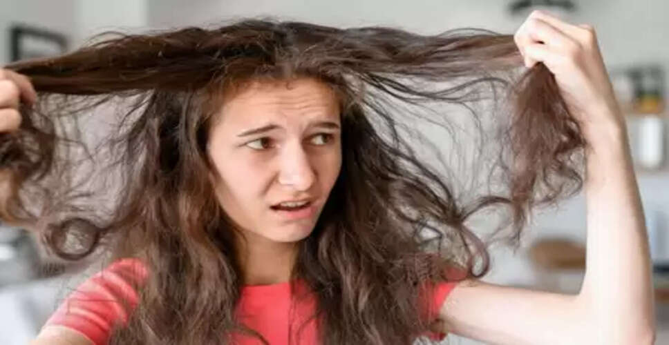 रूखे और फ्रिजी बालों से परेशान? यह नेचुरल हेयर पैक देगा मुलायम और मजबूत बाल