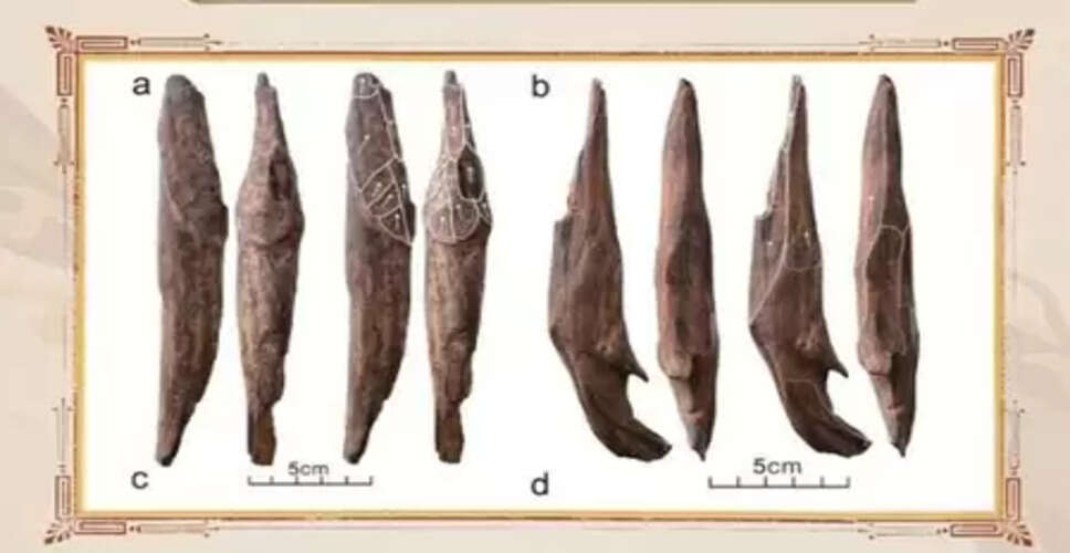 सीएमजी ने वर्ष 2025 की दस सबसे बड़ी घरेलू और अंतर्राष्ट्रीय पुरातत्व खबरें जारी कीं