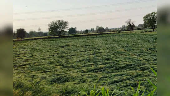 राजस्थान में गर्मी के बाद मौसम में बदलाव, वीडियो में देंखे जयपुर और अजमेर में बादलों की आहट