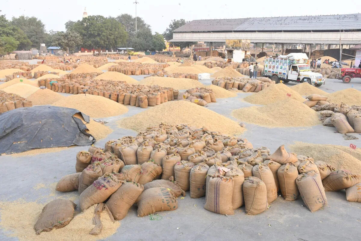 लहसुन की आवक बढ़ी, मंडी में लगभग 10,000 कट्टे पहुंचे, कीमतों में बड़ा अंतर