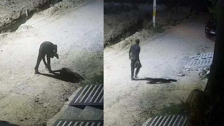 राजस्थान में अजीब चोर गैंग सक्रिय, कीमती सामान नहीं—सिर्फ फिट आए जूते चुराकर हो रहे फरार