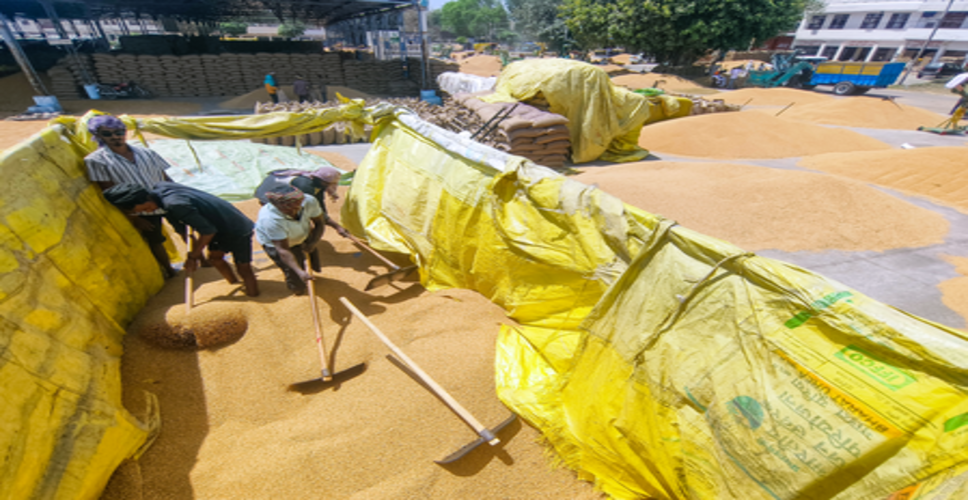 मध्य प्रदेश: गेहूं की खरीद 15 अप्रैल से शुरू होगी