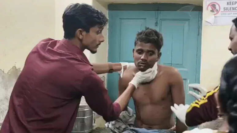 राजस्थान में तेंदुआ और पैंथर हमलों से दहशत, दो लोग गंभीर रूप से घायल