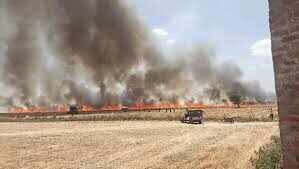 कोटा में भीषण अग्निकांड, 115 बीघा में खड़ी गेहूं की फसल जलकर राख, वीडियो में देंखे 10 से अधिक किसानों को भारी नुकसान