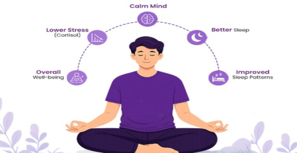 नर्वस सिस्टम को बिगाड़ता है तनाव, जानें समस्याओं को दूर करने में कैसे मदद करता है योगासन