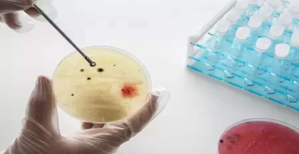 भारतीय वैज्ञानिकों ने बनाया एंटीबॉडी डिस्कवरी प्लेटफॉर्म, कैंसर और संक्रामक रोगों से लड़ाई में करेगा मदद