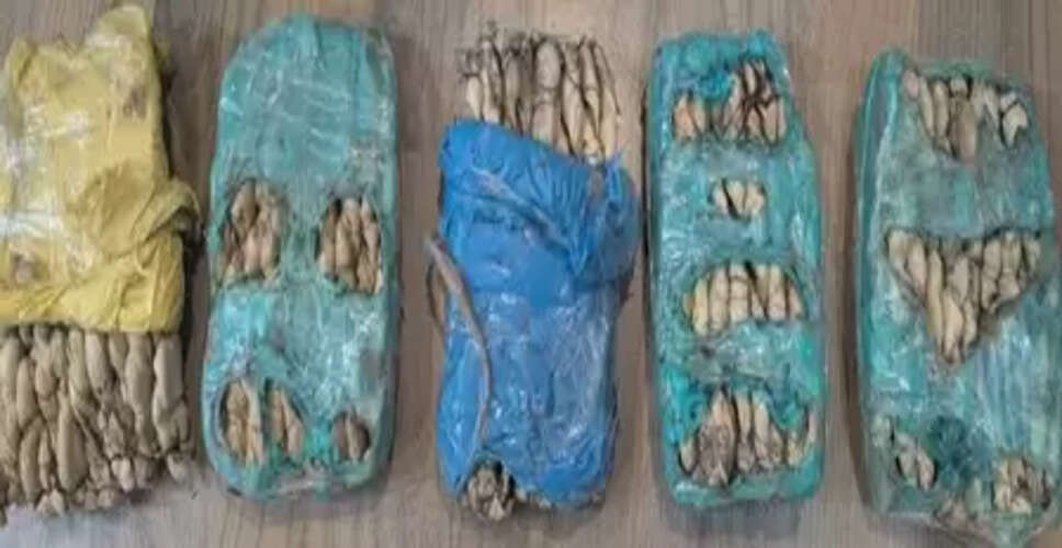 बेंगलुरु: एनसीबी ने 160 किलो खट की पत्तियों की तस्करी नेटवर्क का भंडाफोड़ किया, 8 करोड़ की जब्ती