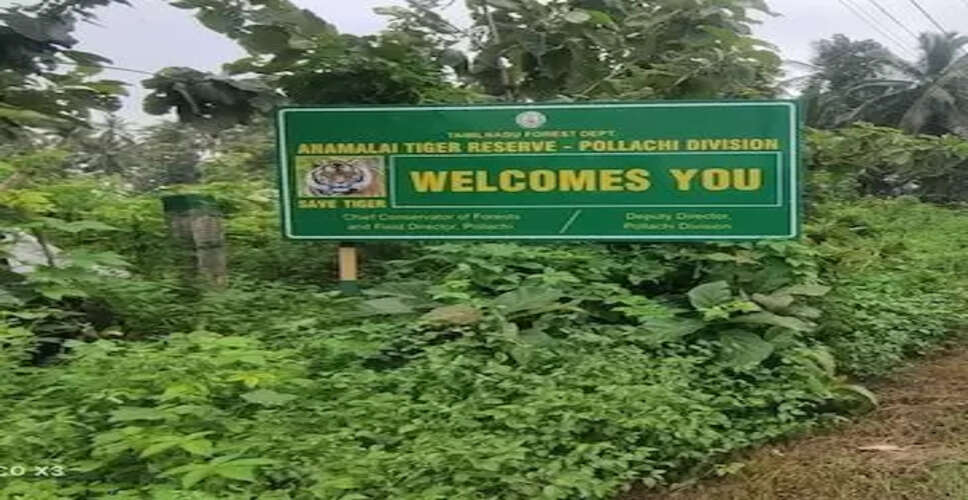 वालपराई में मानव-वन्यजीव संघर्ष रोकने के लिए तमिलनाडु वन विभाग की बड़ी पहल, समिति ने तय किए अहम कदम