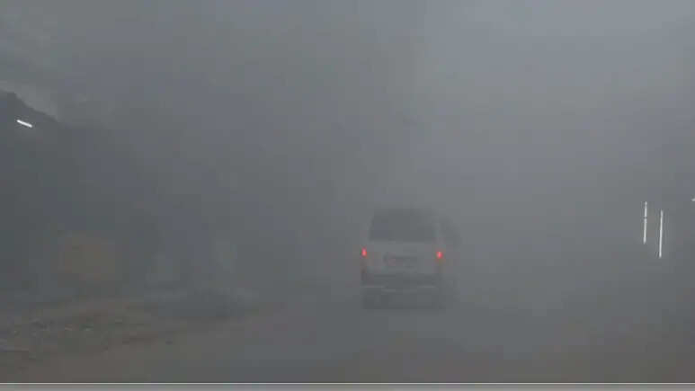 राजस्‍थान में तेज सर्दी, कई जिलों में सुबह घना कोहरा, व‍िज‍िब‍िल‍िटी जीरो, रेंगते रहे वाहन