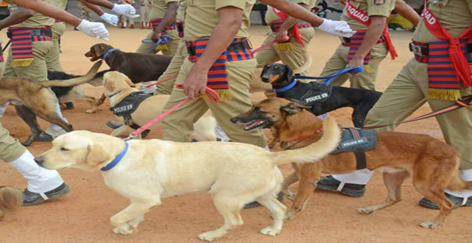 बिहार में डॉग स्क्वायड में श्वानों की संख्या बढ़कर हुई 96, अगले वर्ष तक और 50 की होगी खरीद