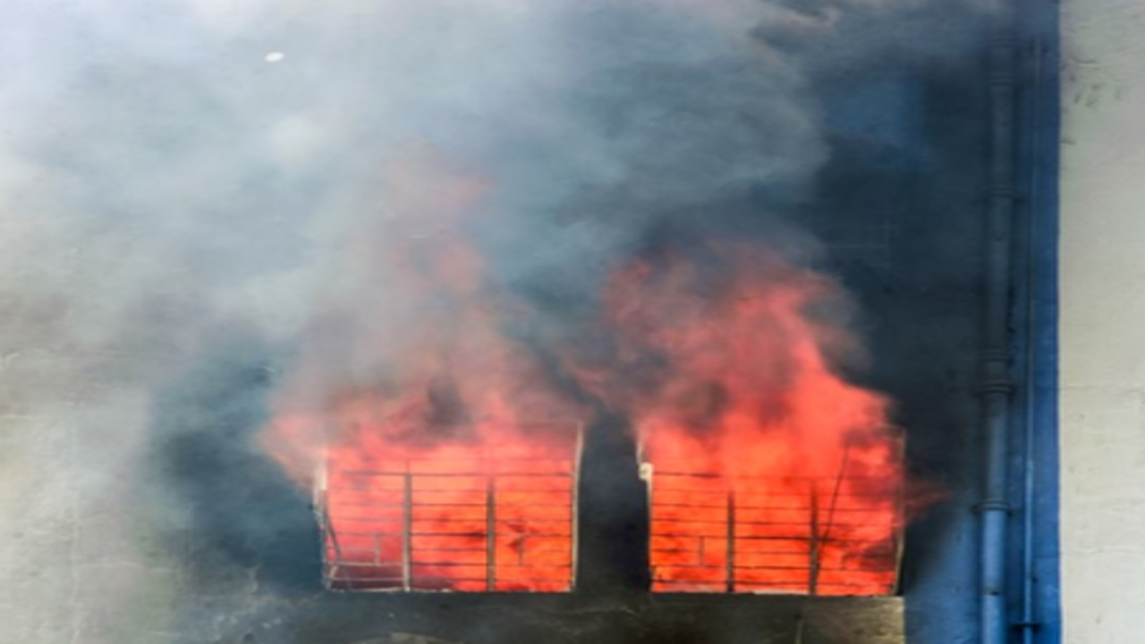 दक्षिण दिल्ली के फ्लाईओवर के पास रेस्तरां में लगी आग, बुजुर्ग महिला को सुरक्षित बचाया गया