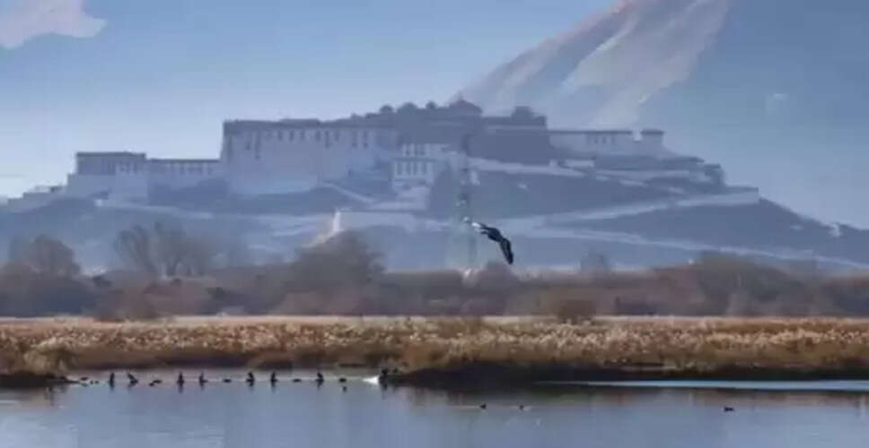 ल्हालू आर्द्रभूमि को 'विश्व की सबसे अधिक ऊंचाई पर स्थित शहरी प्राकृतिक आर्द्रभूमि' का खिताब