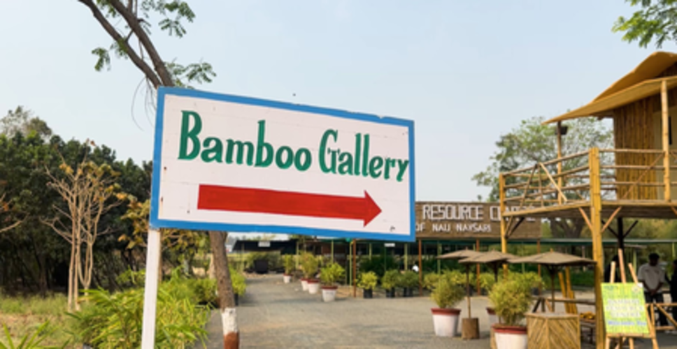 गुजरात: एसएसआईपी योजना से योगेश बैंबू स्टार्टअप से बने आत्मनिर्भर, लोगों को प्&zwj;लास्टिक से दूर और प्रकृति के करीब ला रहे