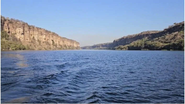 कोटा के 1.5 लाख लोगों के लिए बड़ी खुशखबरी, 732 हेक्टेयर क्षेत्र घड़ियाल अभ्यारण्य से मुक्त