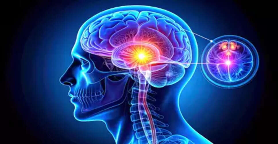 मटर के दाने जितनी छोटी ग्रंथि, लेकिन आपकी नींद, मूड और चेतना तक सब कुछ करती है कंट्रोल