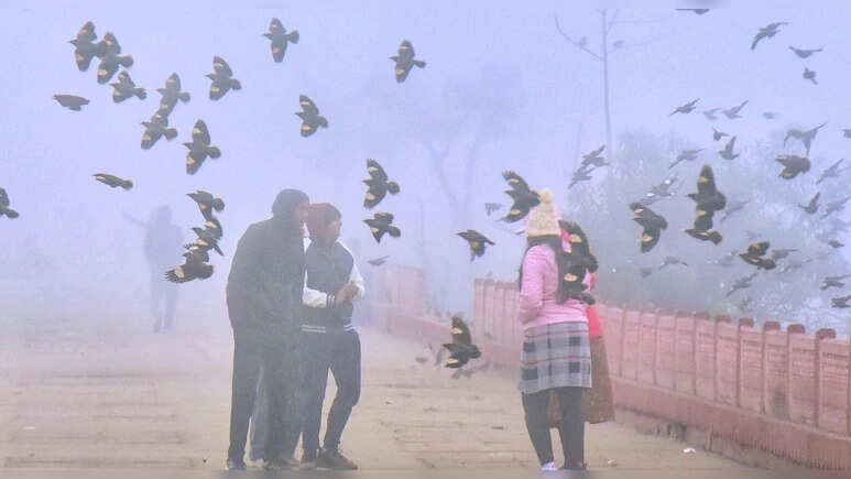 राजस्‍थान में बारिश के साथ घने कोहरे का अलर्ट, माउंट आबू में पारा शून्य