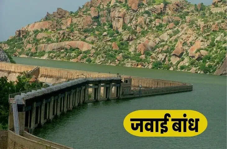 आखिर क्यों सैकड़ो प्रवासी पक्षियों की मौत ने बढाई प्रसाशन की चिंता, लिक्ड फुटेज में हुआ चौकाने वाला खुलासा
