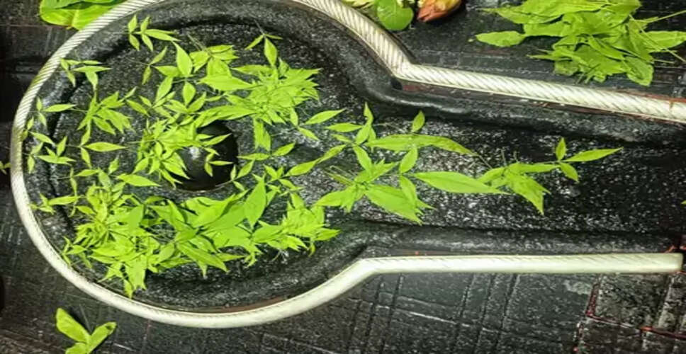 मासिक शिवरात्रि पर करें ये काम, भोलेनाथ की बरसेगी कृपा