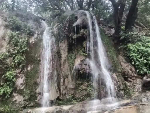 पाली में बारिश से बढ़ी किसानों की उम्मीदें, जवाई बांध का गेज बढ़ा; कई इलाकों में अच्छी बारिश दर्ज