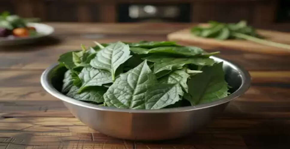 खून की कमी से लेकर जोड़ों के दर्द तक, मकोय का साग सर्दियों में देता है कई बीमारियों से राहत