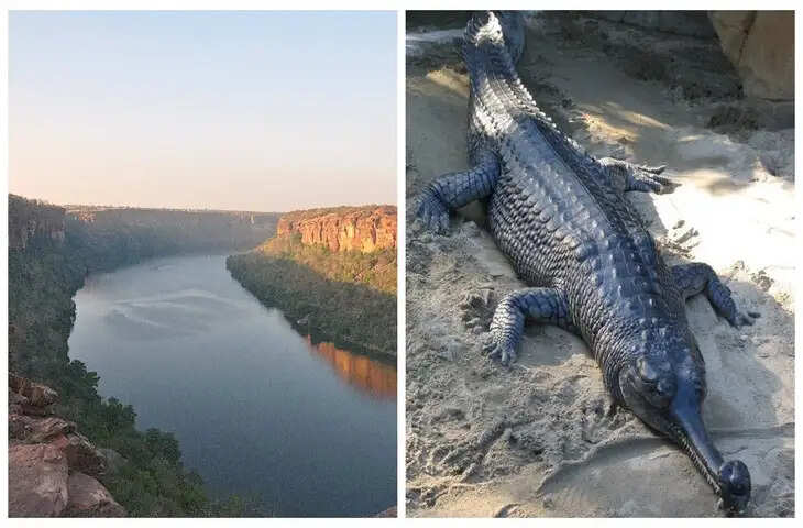 आखिर क्यों चंबल नदी की नहीं होती पूजा ? वीडियो में सामने आया राजा रंतिदेव से कनेक्शन