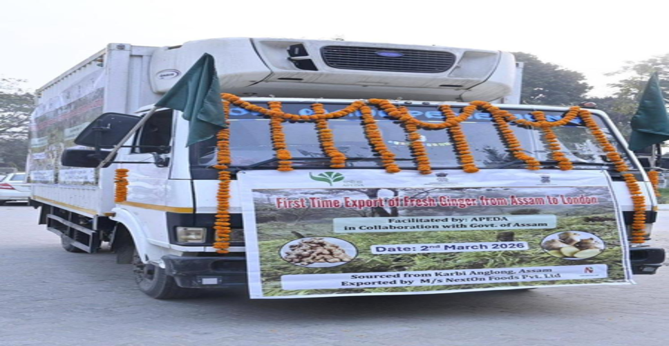 &lsquo;किसानों ने वैश्विक मंच पर कदम रखा&rsquo;: जीआई-टैग वाले कार्बी आंगलोंग अदरक के पहले निर्यात पर बोले सरमा