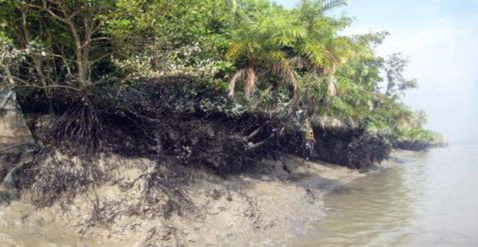 बांग्लादेश: विवादित वन परियोजना के खिलाफ आदिवासी और कैथोलिक नेताओं ने दी आंदोलन की चेतावनी