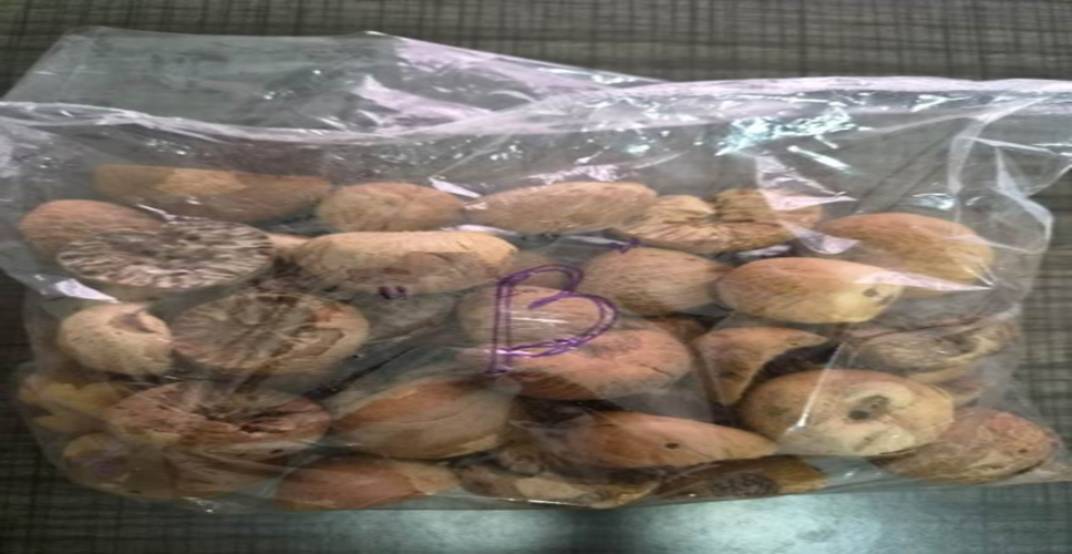 डीआरआई की बड़ी कार्रवाई, तस्करी कर लाई गई 60,000 किलोग्राम  विदेशी सुपारी जब्त की