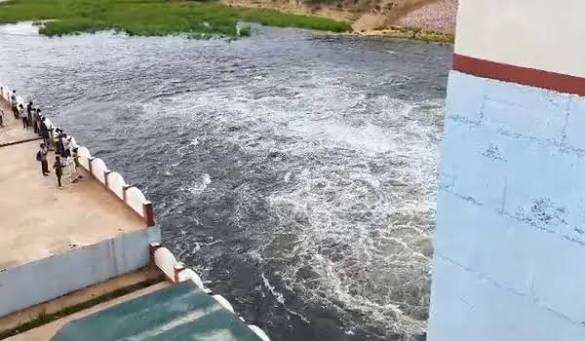 तेज बारिश से बीसलपुर बांध में बढ़ी पानी की आवक, पांच दिन में जलस्तर में हुआ इजाफा