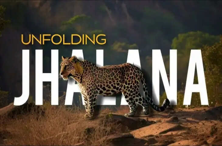 दोस्तों के साथ&nbsp;Jhalana Leopard Safari घूमने का बना रहे है प्लान तो पहले जान ले ये जरूरी बातें,&nbsp;ताकि सफर रहे रोमांचक और सुरक्षित