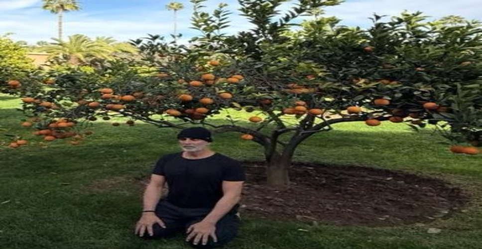 राधिका मदान की एक्टिंग के मुरीद हुए अक्षय कुमार; बोले- इनकी वजह से मेरी परफॉर्मेंस भी सुधर जाती है