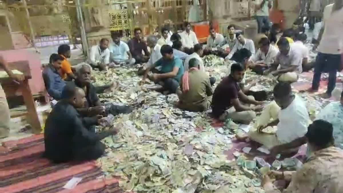 सांवलिया जी मंदिर का भंडार खुला, वीडियो में देखें पहले दिन 10.65 करोड़ रुपए की नकद गिनती