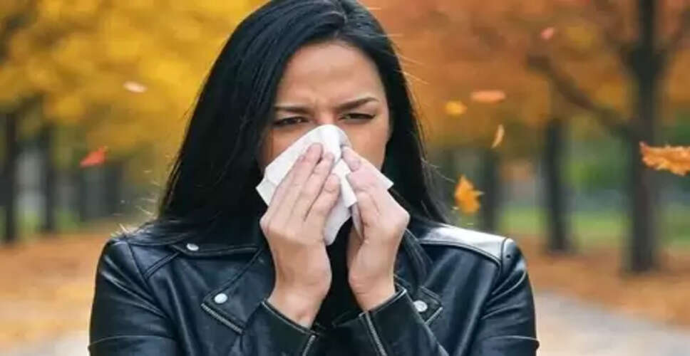 एलर्जी से चाहिए छुटकारा? आयुर्वेद की रामबाण जड़ी-बूटियां बेहद असरदार