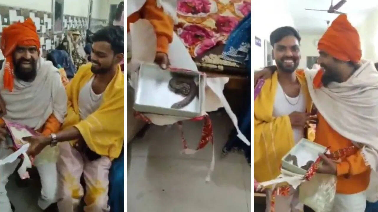 रोहतास में शादी के दौरान अनोखा सरप्राइज, मिठाई के डिब्बे में निकली ऐसी चीज कि दूल्हा भी चौंक गया