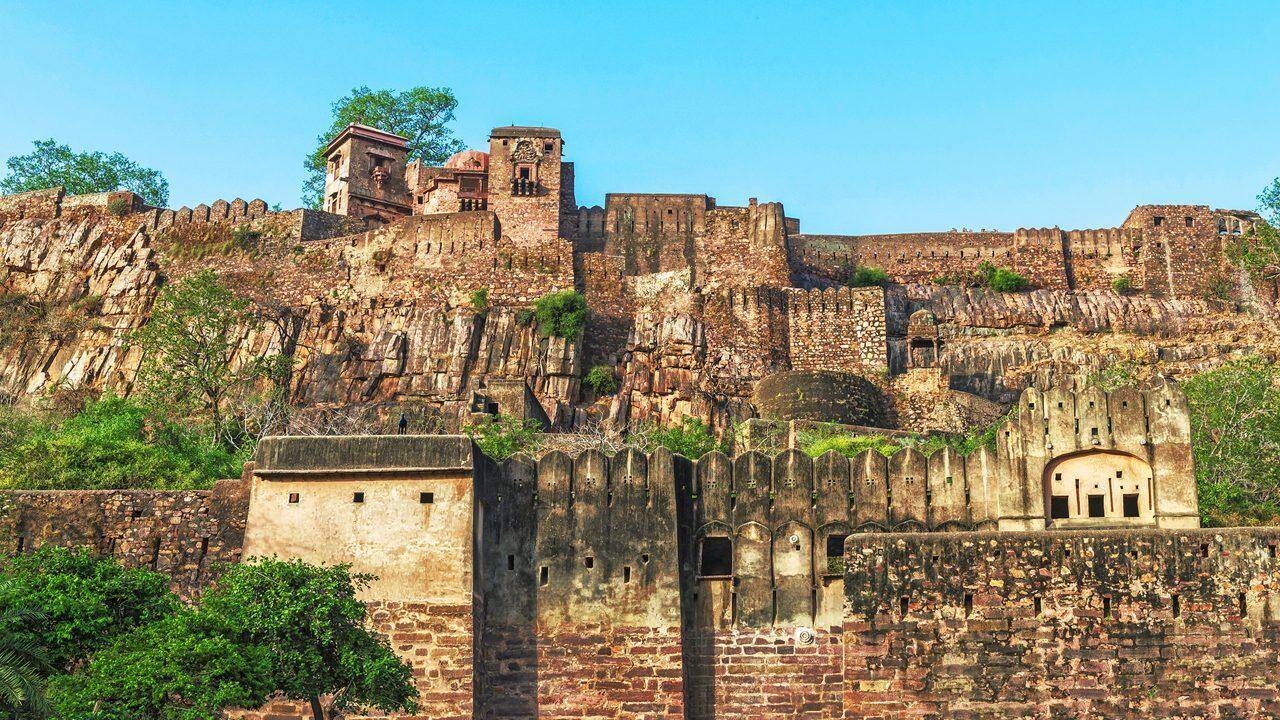 रणथंभौर राष्ट्रीय उद्यान में बाघों का आकर्षक इतिहास: शिकारगाह से टाइगर संरक्षण की मिसाल तक का सफर