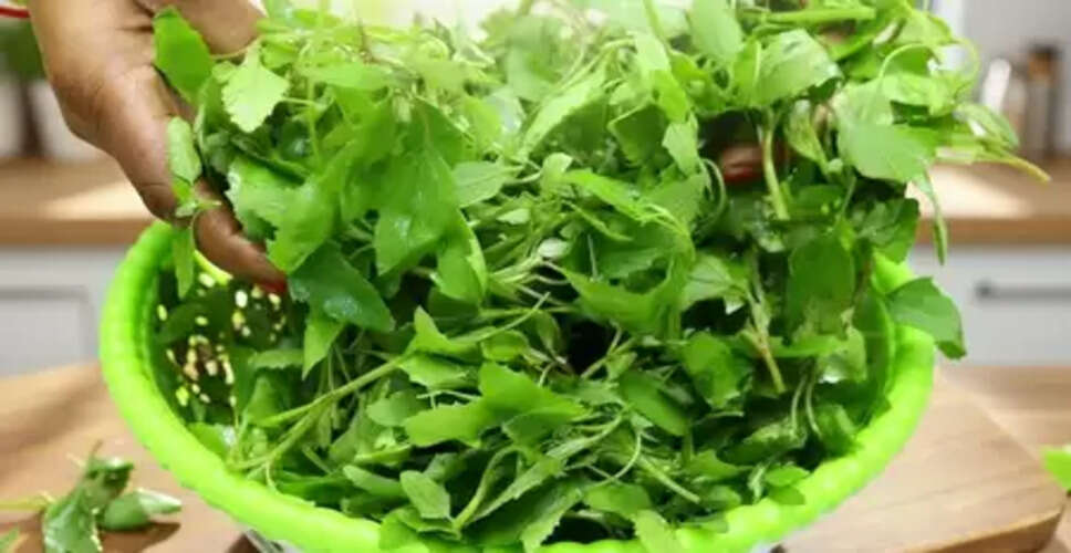 सर्दियों में बथुआ है बेहद खास, एनीमिया और कब्ज जैसी समस्याओं से दिलाएगा राहत