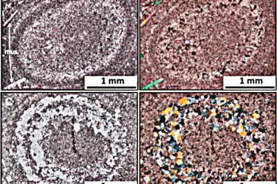 Udaipur में वैज्ञानिकों की बड़ी खोज! लेकसिटी में मिली अरबों साल पुरानी चट्टाने, खुलेगा&nbsp;पृथ्वी के जन्मकाल का रहस्य