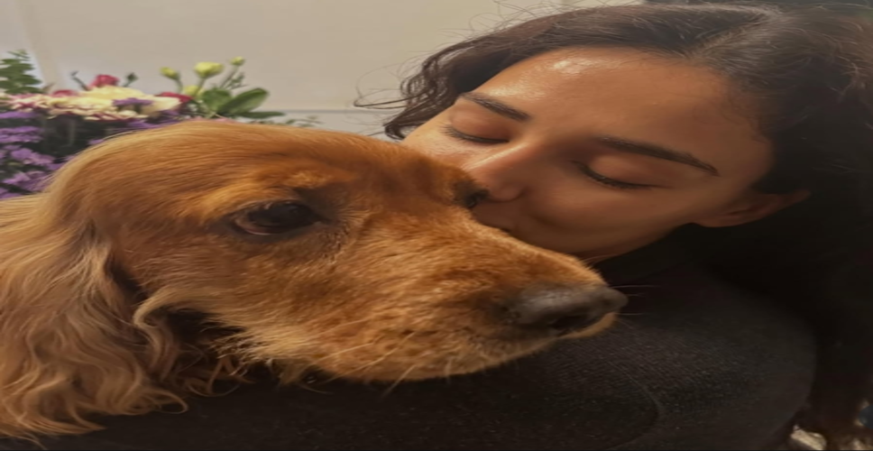 दिशा पाटनी ने पालतू जानवर बेला और जैस्मीन को लेकर लिखा भावुक पोस्ट, बोलीं- &lsquo;तुमने सिखाया कि प्यार क्या है?
