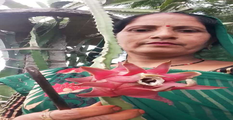 इटावा की मंत्रवती शाक्य ने गांव में रच दी &lsquo;लखपति दीदी&rsquo; की सफलता गाथा