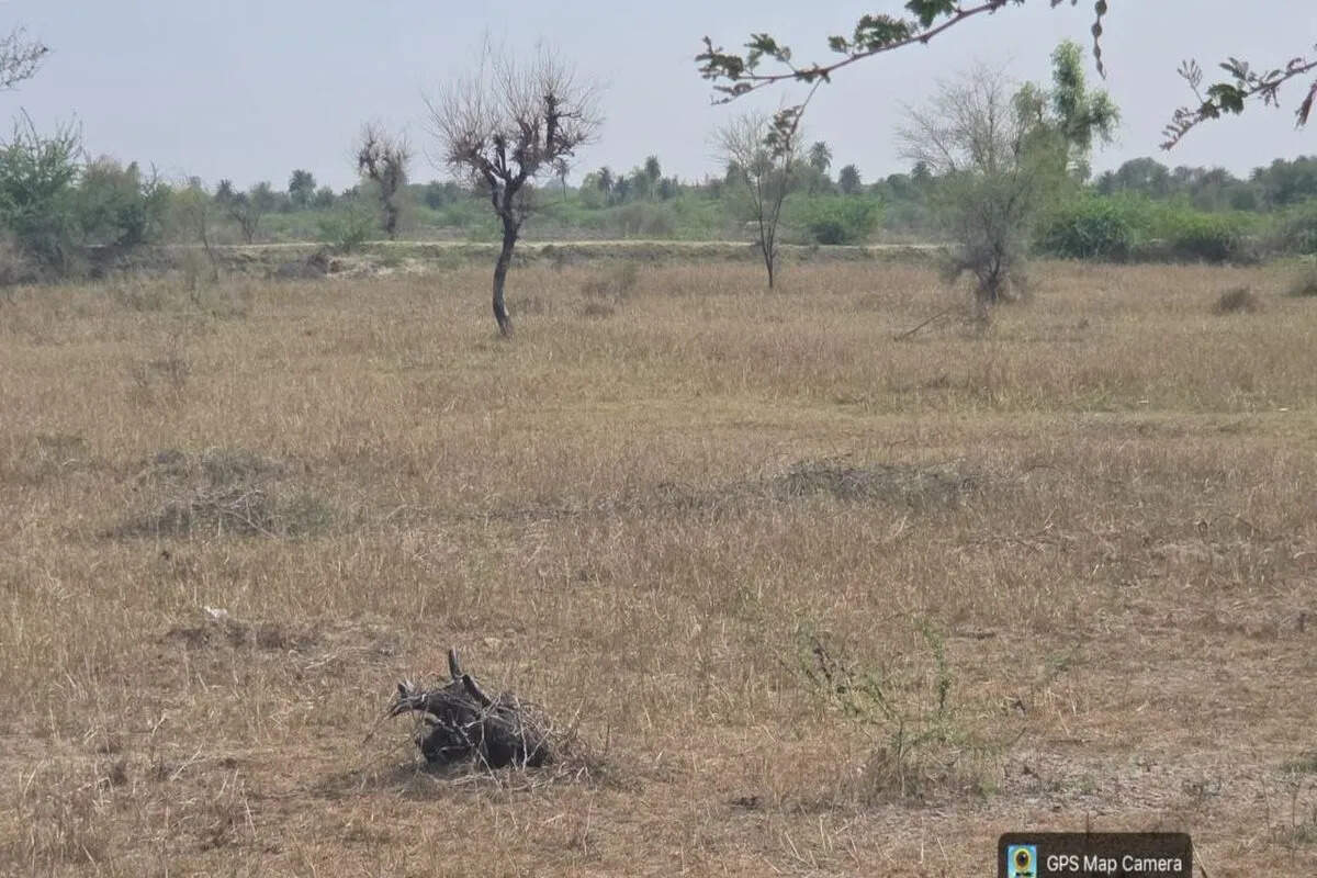 निम्बाहेड़ा कलां और भटेरा में अवैध कोयला भट्टियों का खुलासा, एनजीटी में रिपोर्ट पेश