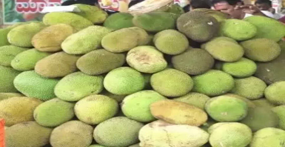 कटहल: स्वाद और सेहत का परफेक्ट कॉम्बिनेशन, फायदे जानकर आप भी शुरू कर देंगे खाना