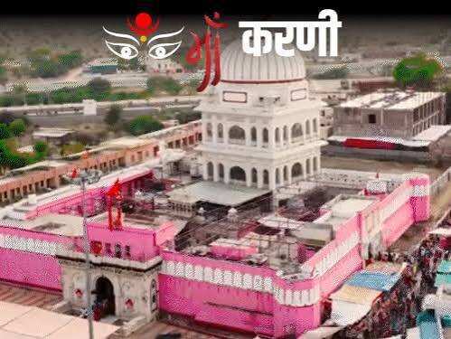 बीकानेर का करणी माता मंदिर: जहां हजारों चूहे कहलाते हैं ‘काबा’, जानिए 600 साल पुरानी आस्था की पूरी कहानी