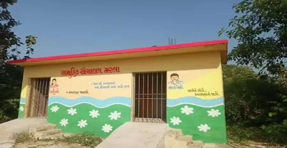 गुजरात में विश्&zwj;व शौचालय दिवस पर जागरूकता अभियान