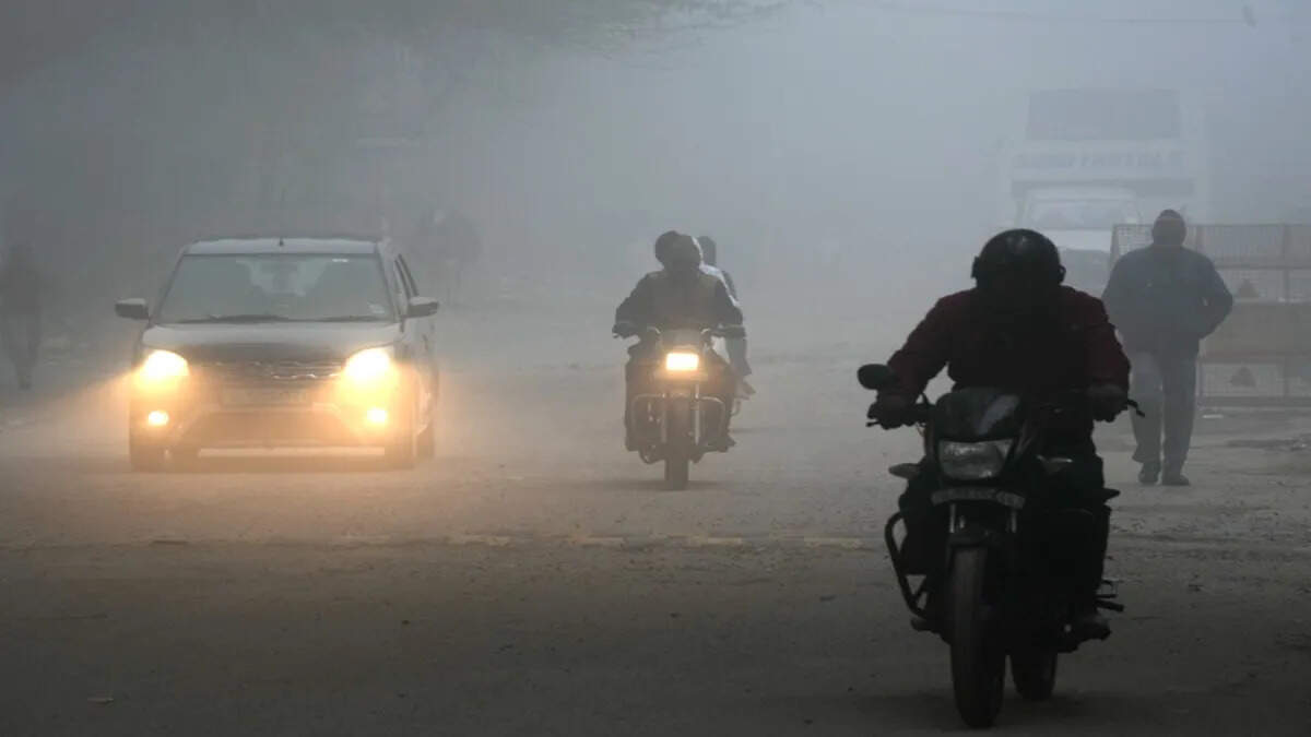 राजस्थान में कोहरे के साथ कड़ाके की ठंड, फुटेज में जानें 3 शहरों का तापमान 5 डिग्री से नीचे, ठंडी हवाओं ने छूडाए छक्के