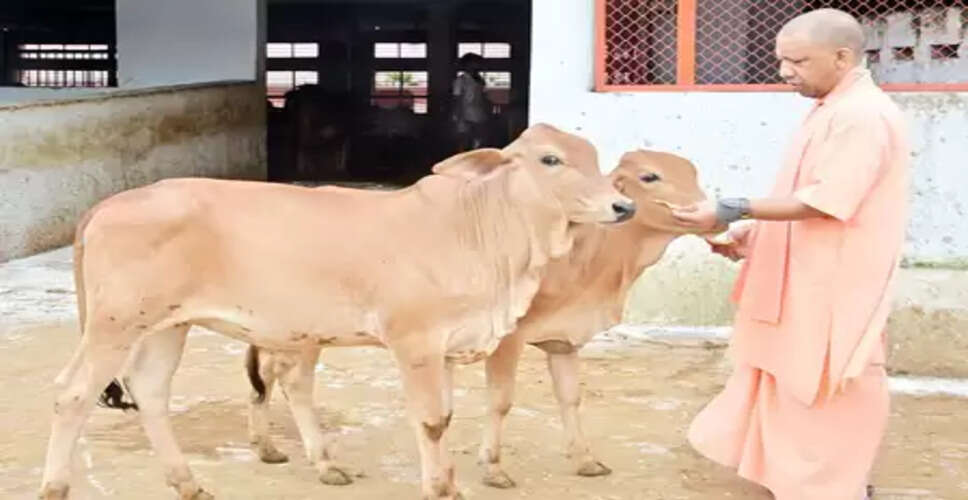 लखनऊ: गौ माता को ठंड से बचाएंगे स्पेशल इको-थर्मल कंबल