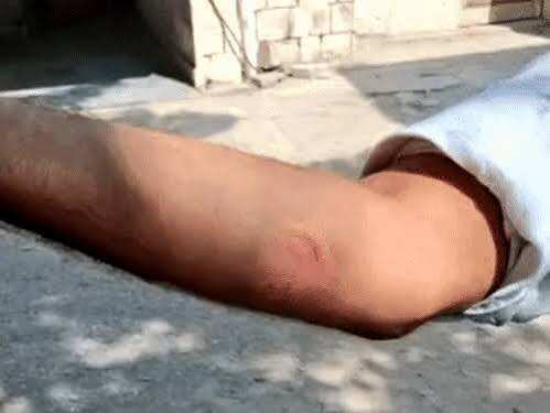 धौलपुर जेल में हिस्ट्रीशीटर का हंगामा, जेल प्रहरी के हाथ पर काटकर किया घायल; कोतवाली में मामला दर्ज